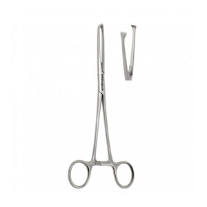 Allis Tissue Forceps Straight