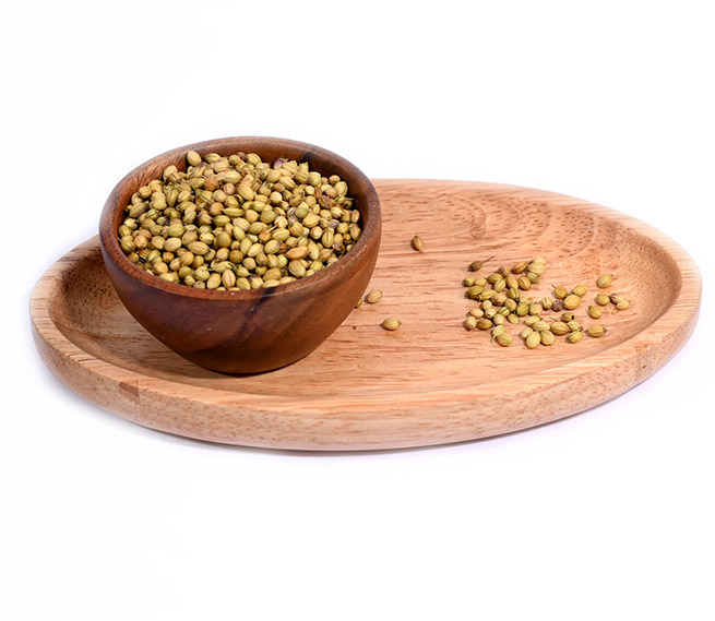 Coriander (Dhania)
